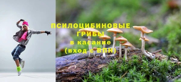ешки Солнечногорск