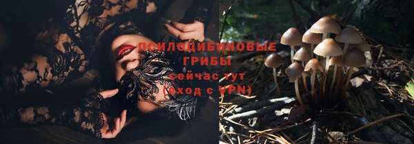 стафф Липки