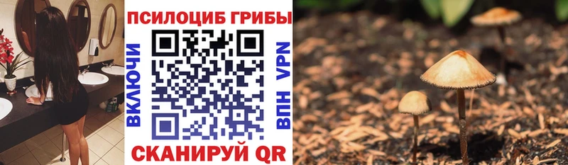 это Telegram  Орск  Галлюциногенные грибы прущие грибы 