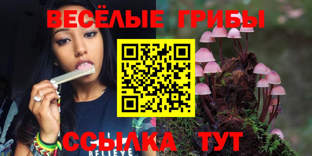 Галлюциногенные грибы Cubensis Орск